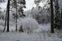 Зима в национальном парке "Нечкинский"